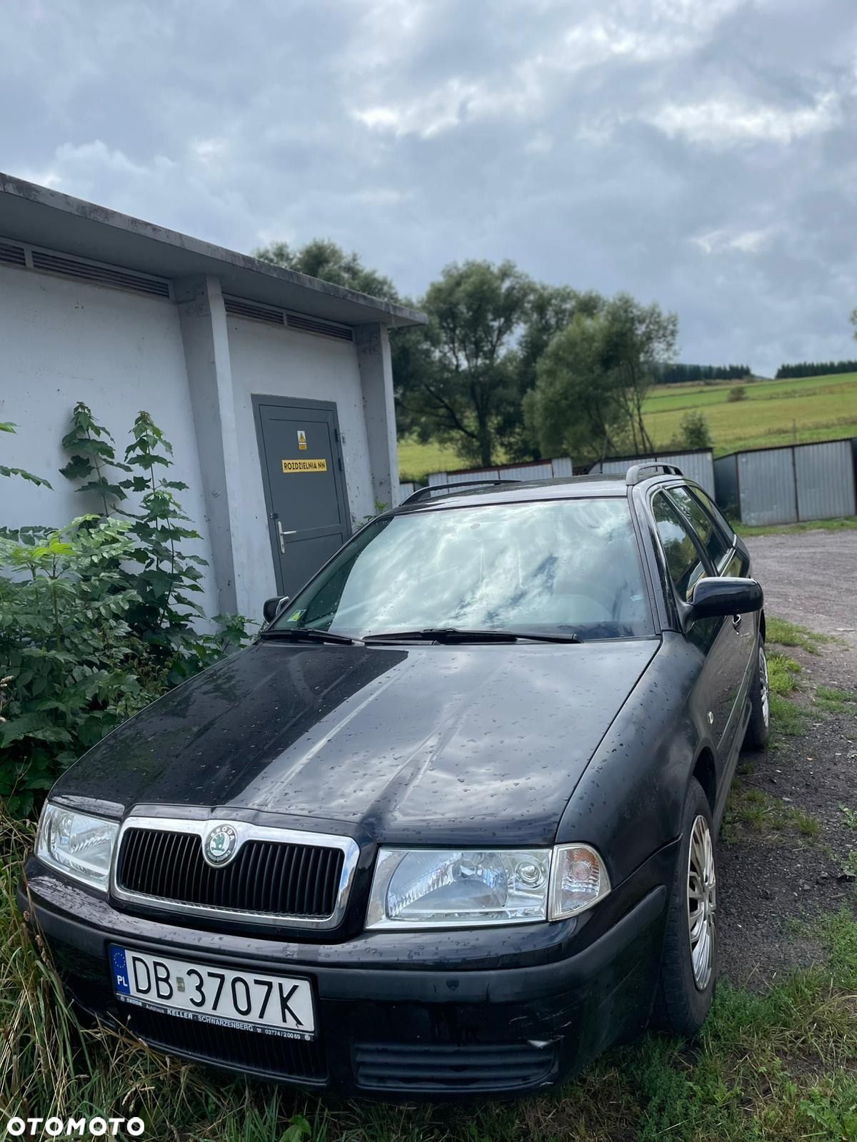 Skoda Octavia 1.6 Classic - 1