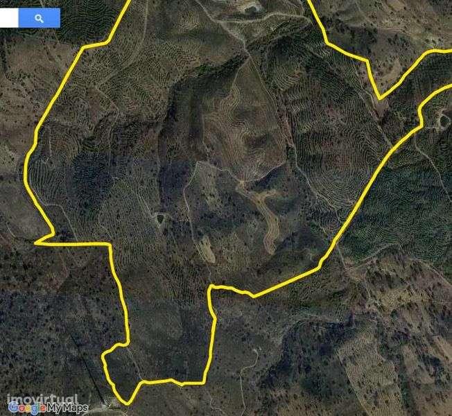 Terreno rústico 136 ha - Grande imagem: 5/8