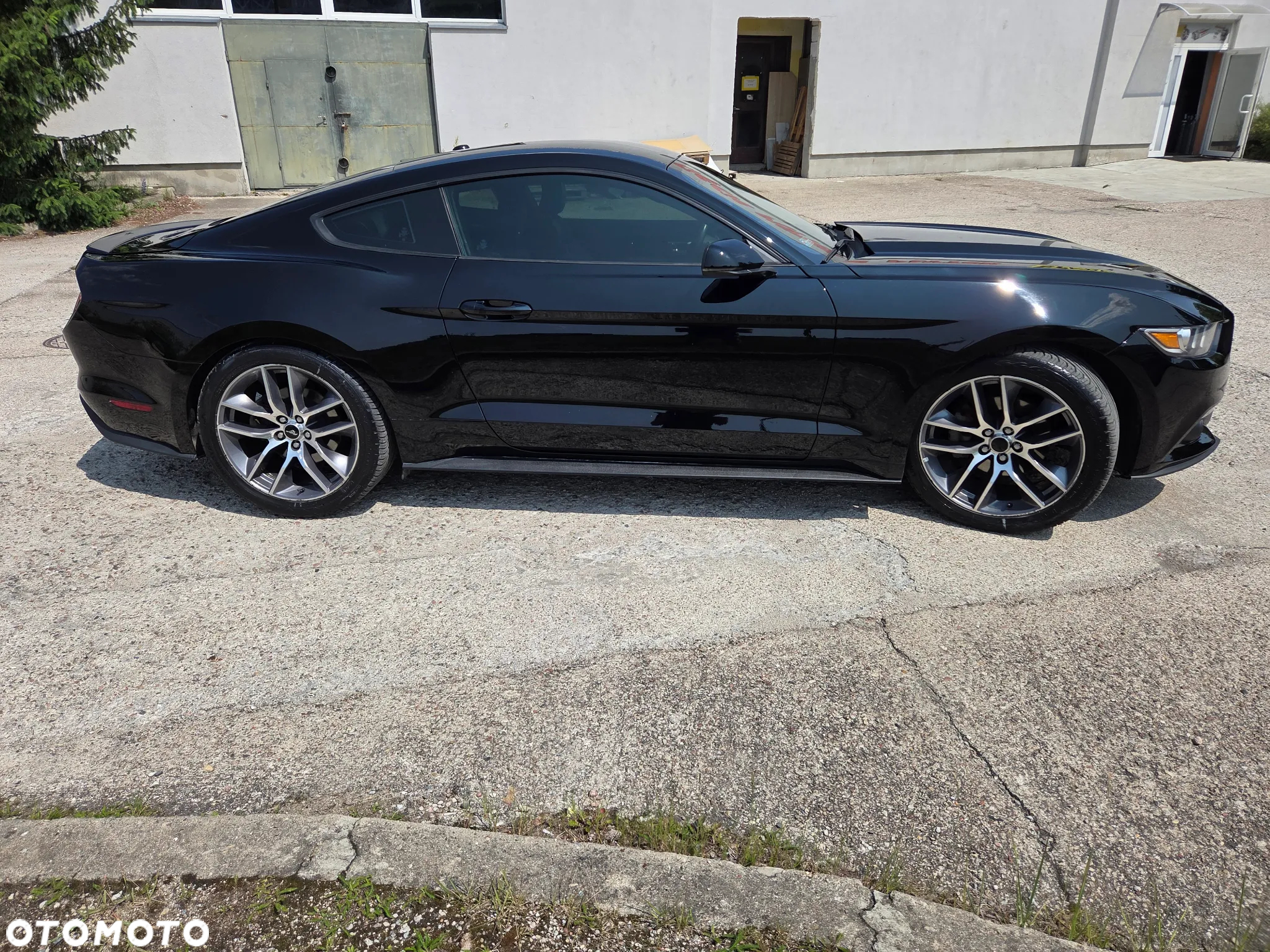 Ford Mustang 2.3 EcoBoost - 8