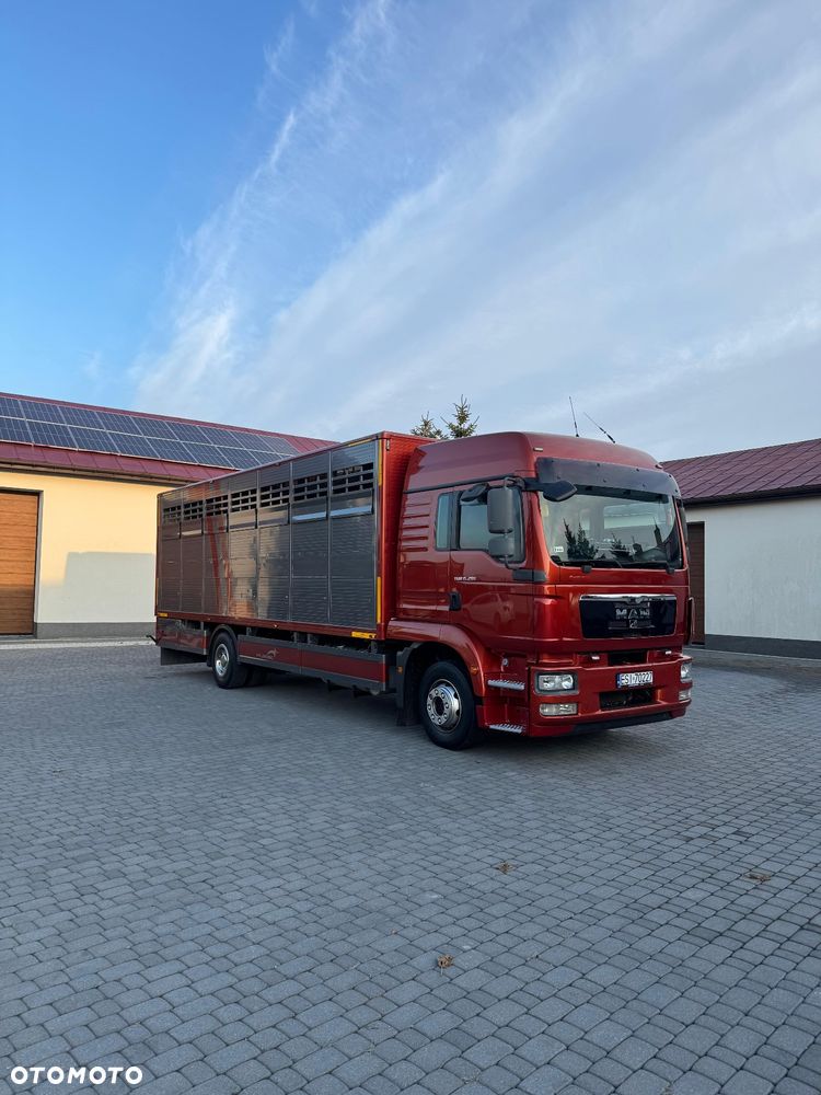 MAN TGM - 2