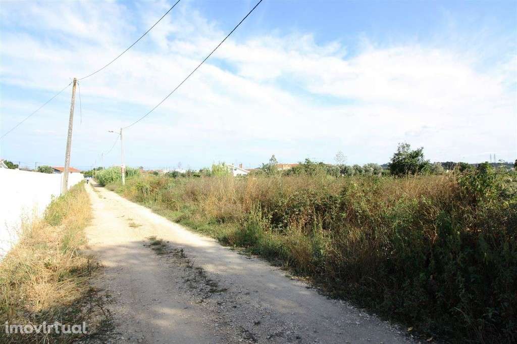 Terreno, Montemor-o-Velho, Montemor-o-Velho - Grande imagem: 4/6