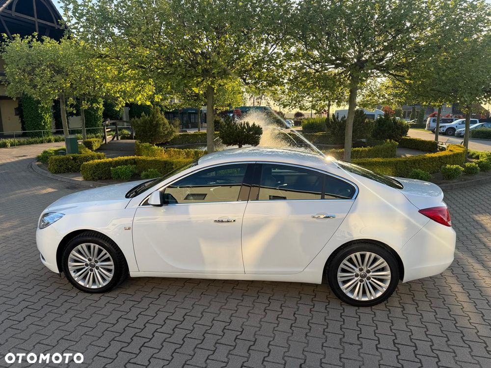 Opel Insignia 2.0 CDTI ecoFLEX Start/Stop Active - 17