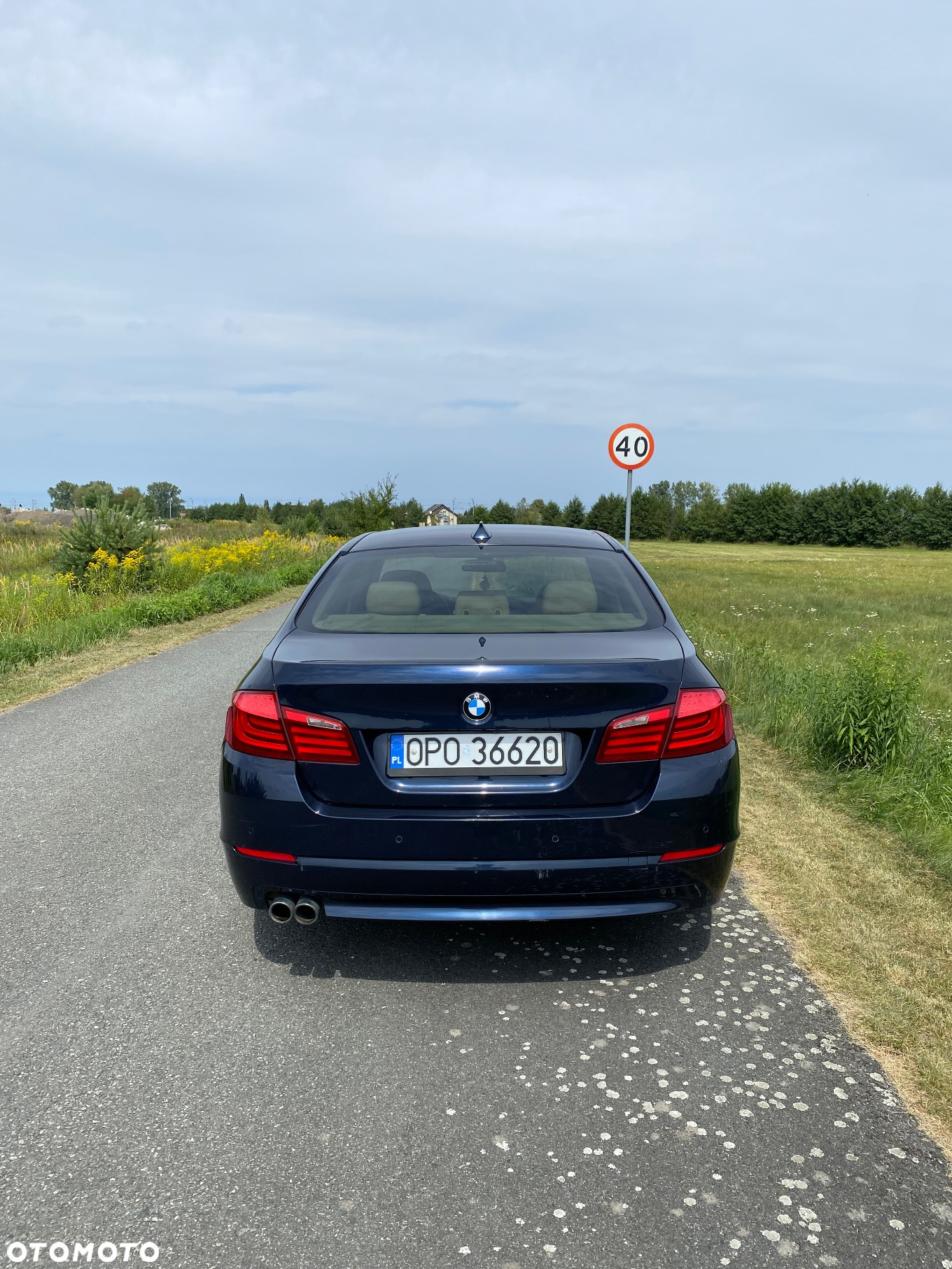 BMW Seria 5 530d xDrive - 9