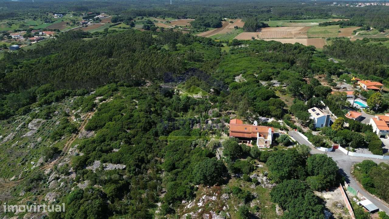 Terreno Rústico c/ 16.520 m2 Reguengo Pequeno - Lourinhã - Grande imagem: 2/32