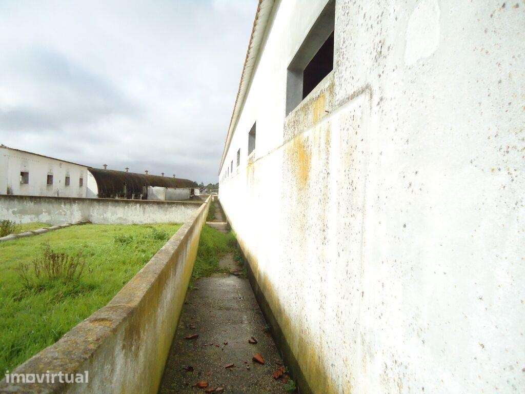 Terreno industrial em Quinta do Anjo - Grande imagem: 4/7