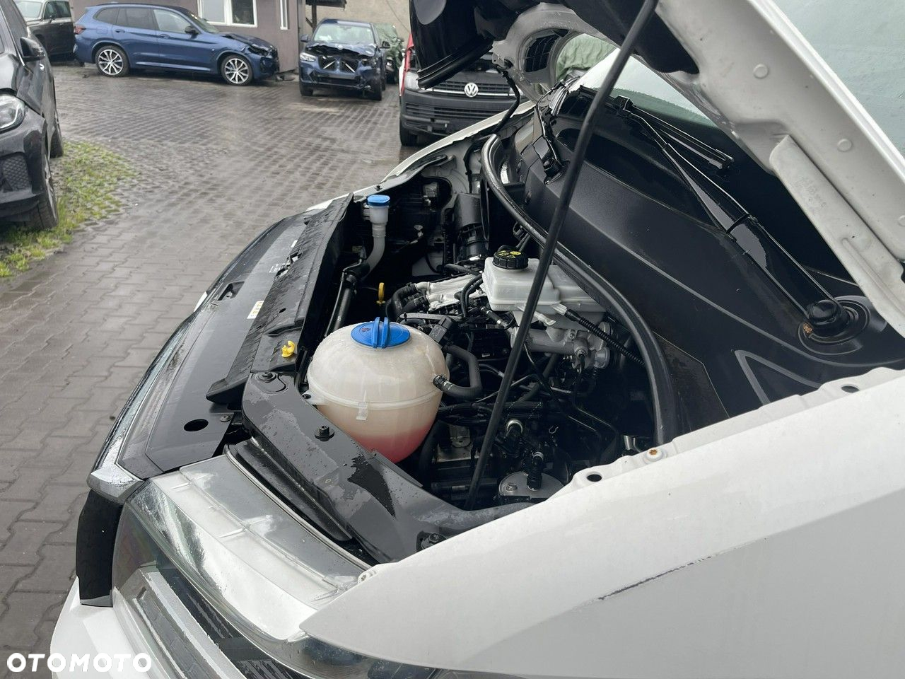 MAN TGE - 13
