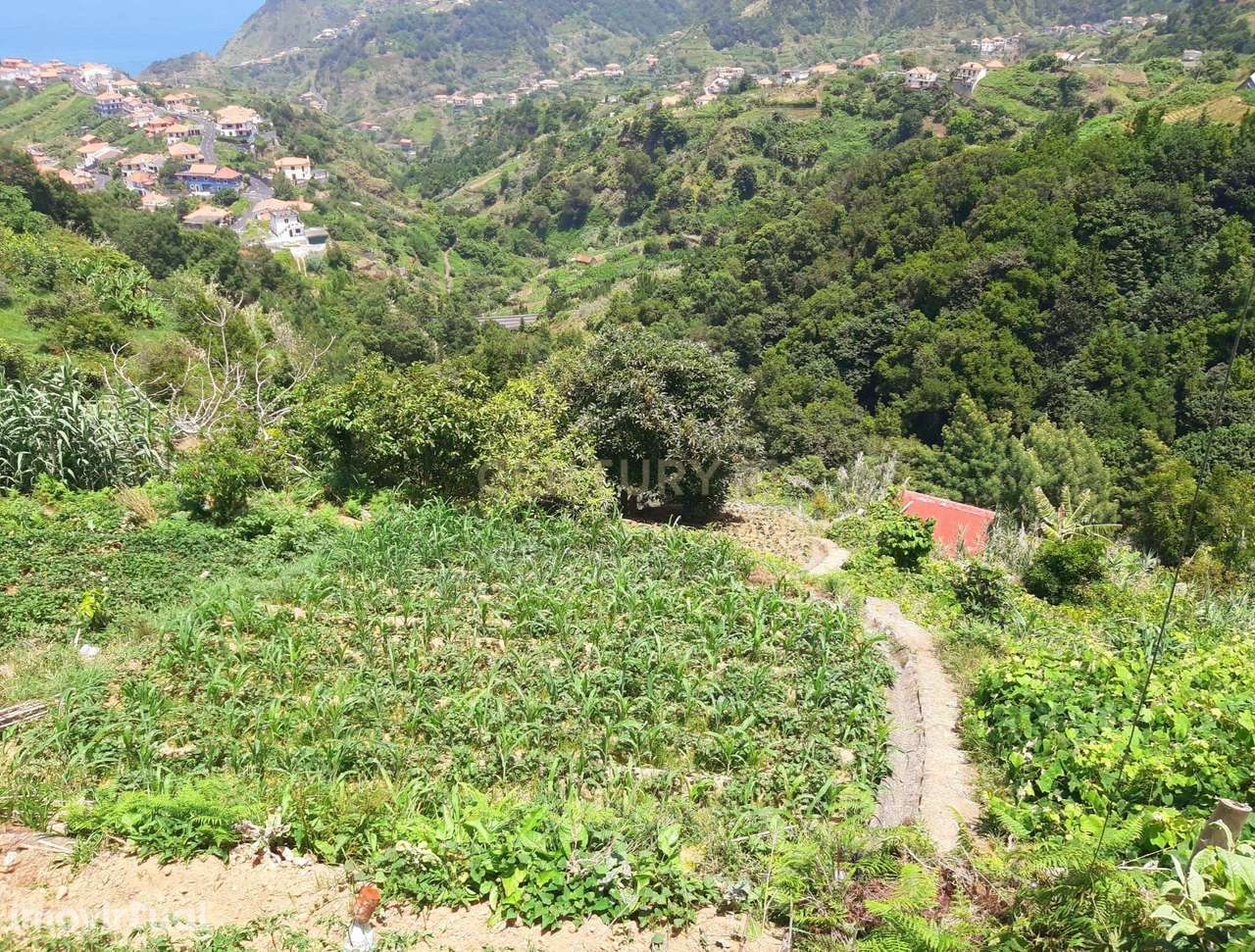 Terreno agrícola - Porto da Cruz - Machico - Grande imagem: 3/11