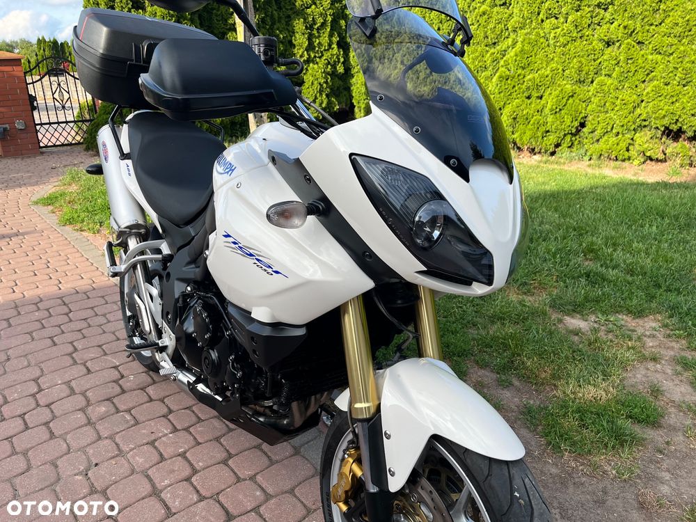 Triumph Tiger - 20