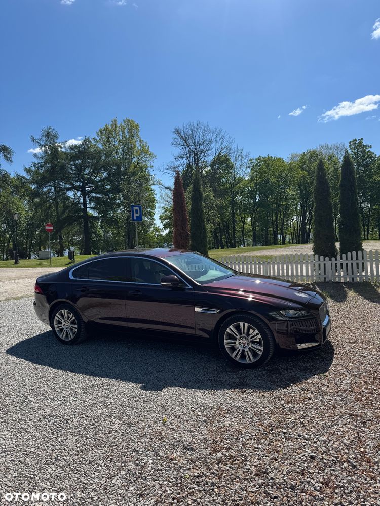 Jaguar XF 2.0 T AWD Portfolio - 14