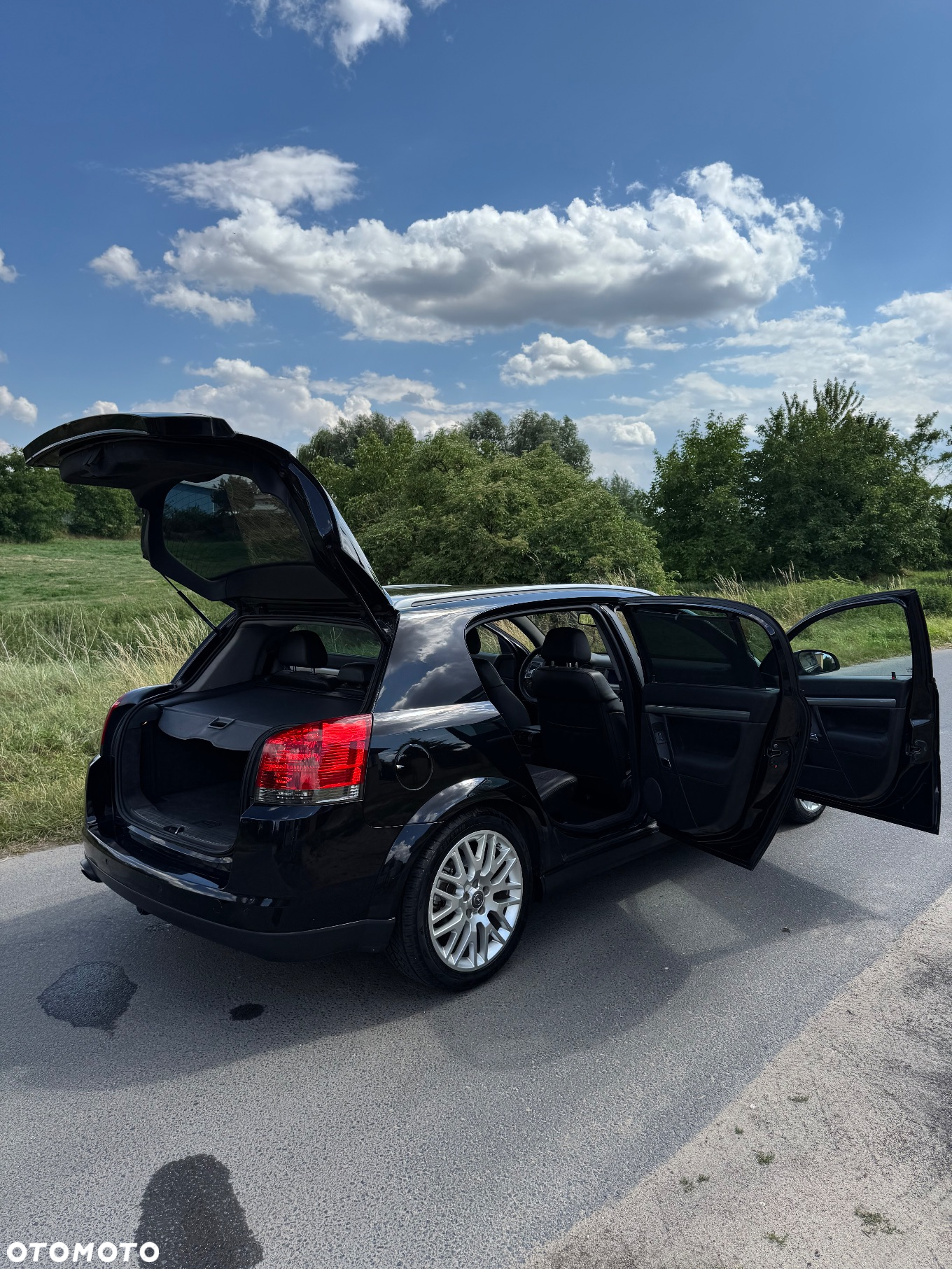 Opel Signum 1.9 CDTI Sport - 10