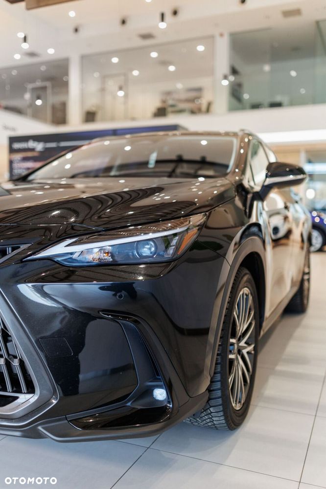 Lexus NX - 13