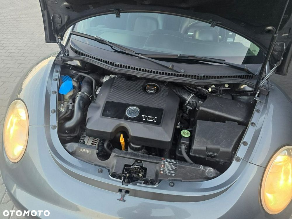 Volkswagen New Beetle - 39