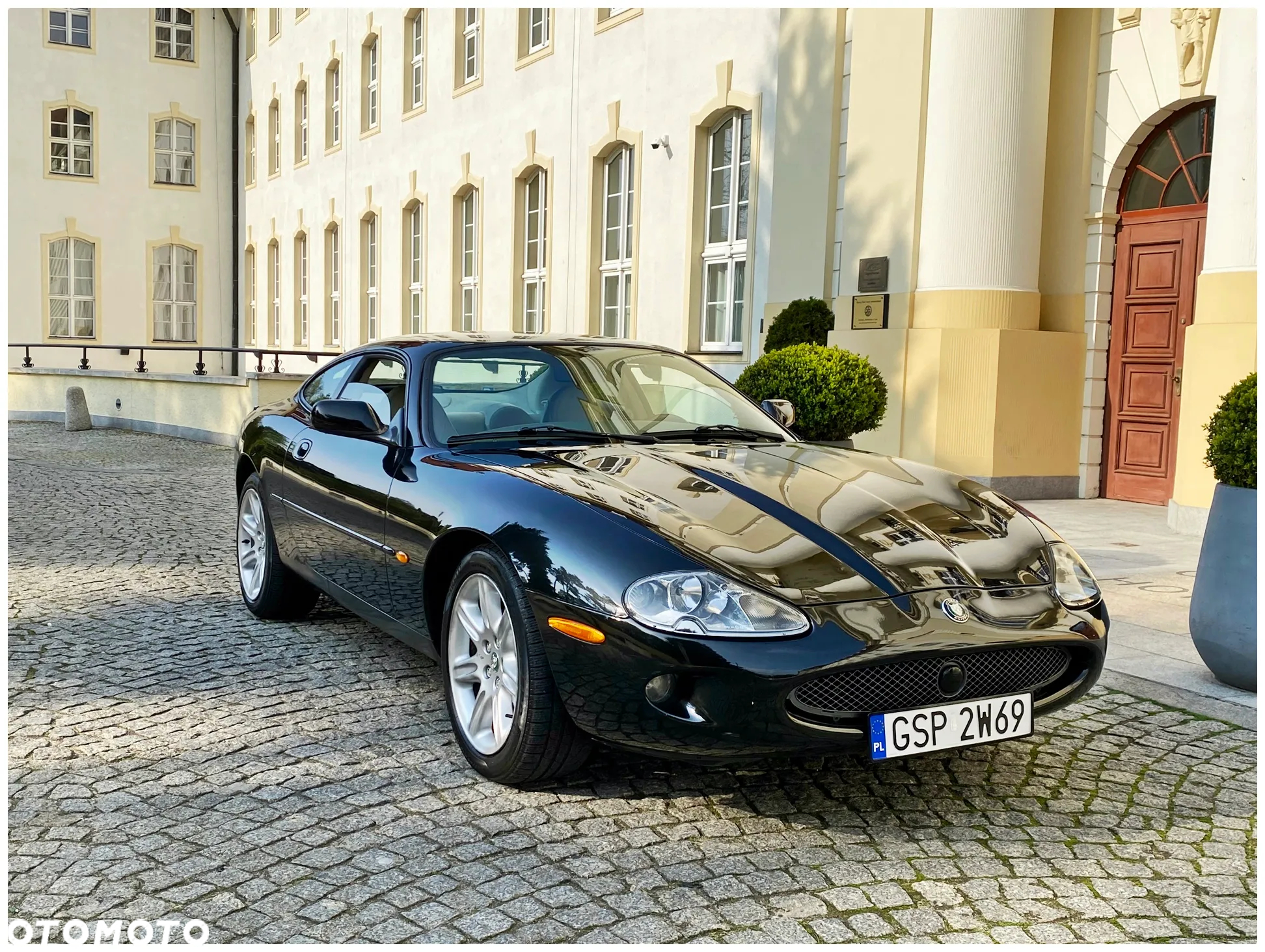 Jaguar XK - 27