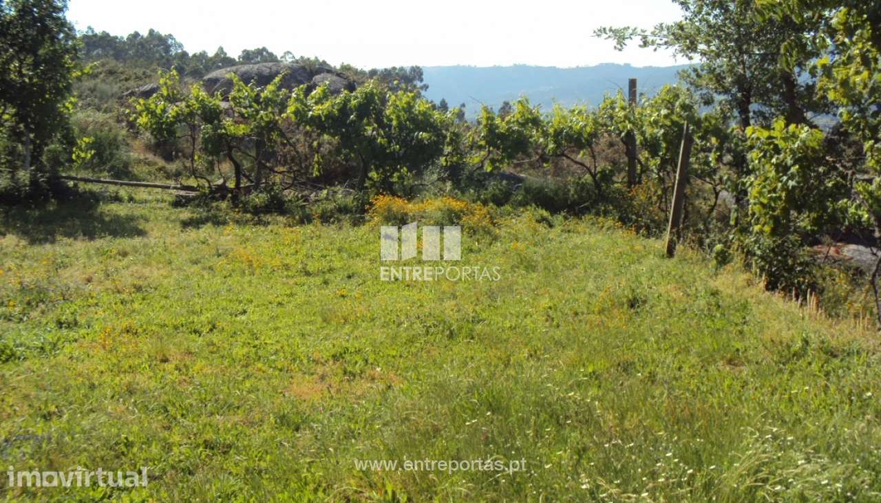 Venda Terreno, Rosém, Marco de Canaveses - Grande imagem: 4/8
