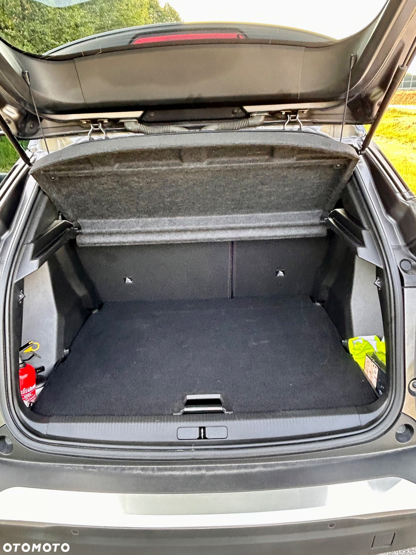 Peugeot 2008 - 10