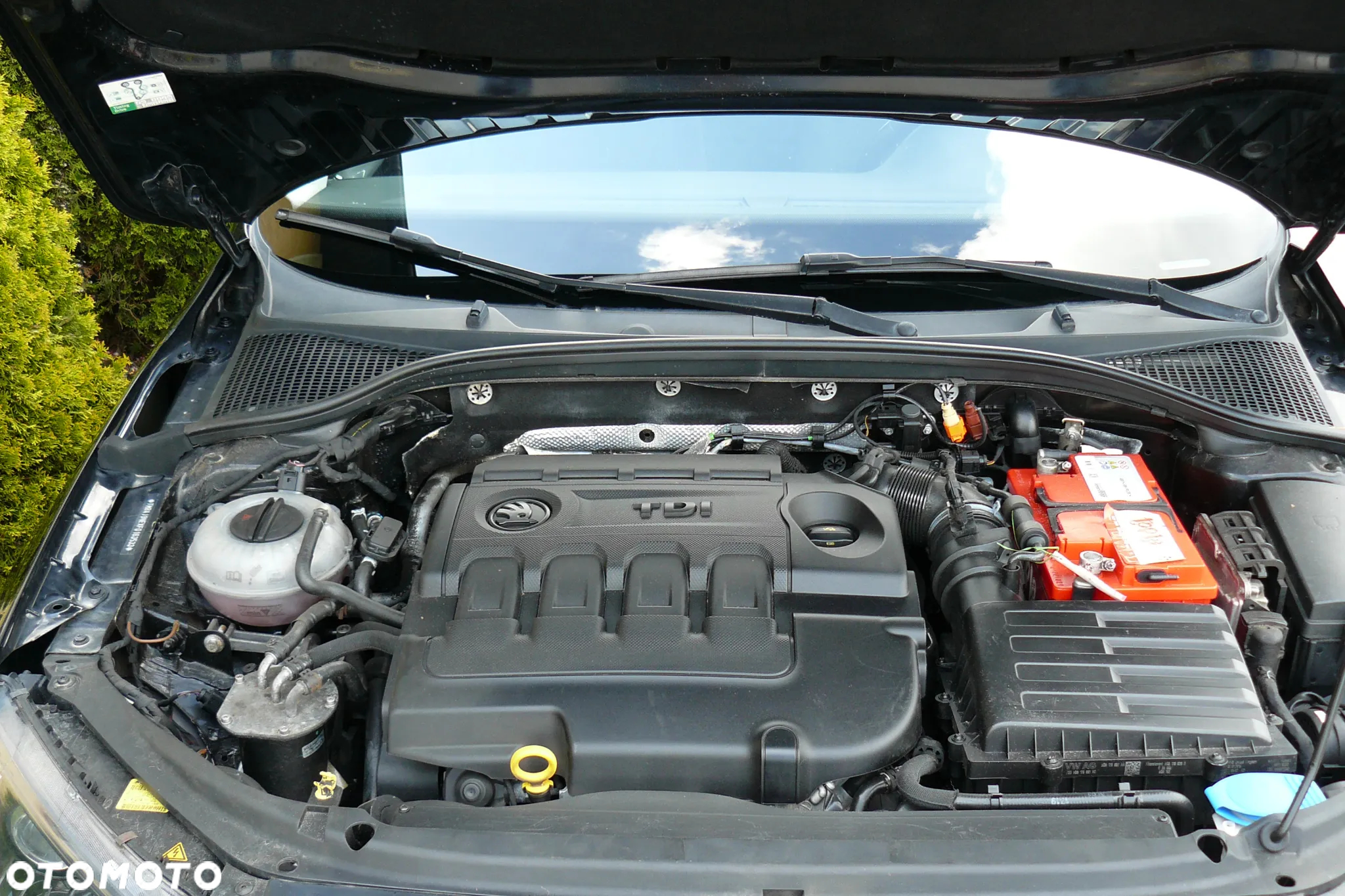 Skoda Octavia 2.0 TDI Elegance - 35