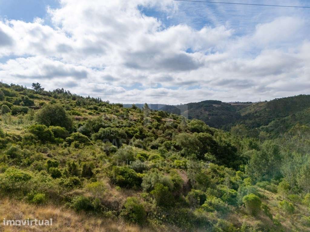 Vende Terreno - Ericeira 9 km, A Casa das Casas - Grande imagem: 3/17