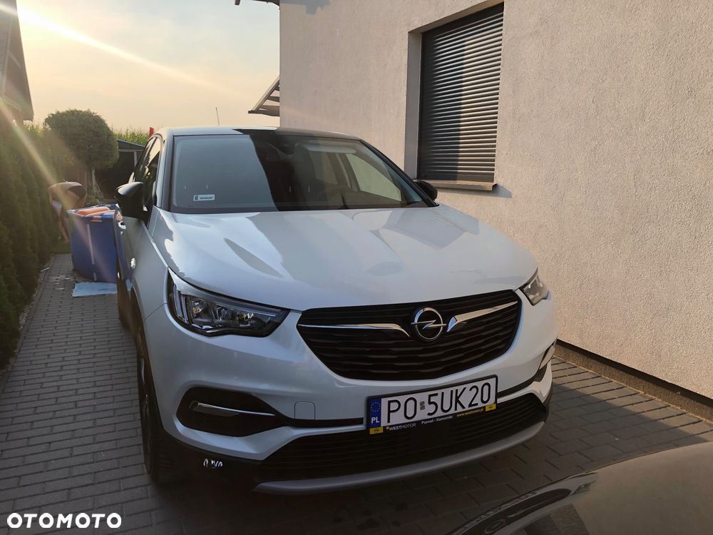 Opel Grandland X 2021 photo 3
