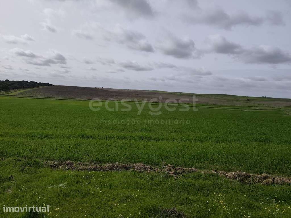 Terreno Rústico com área total de 10, 0375 ha, localizado na fregue... - Grande imagem: 5/19
