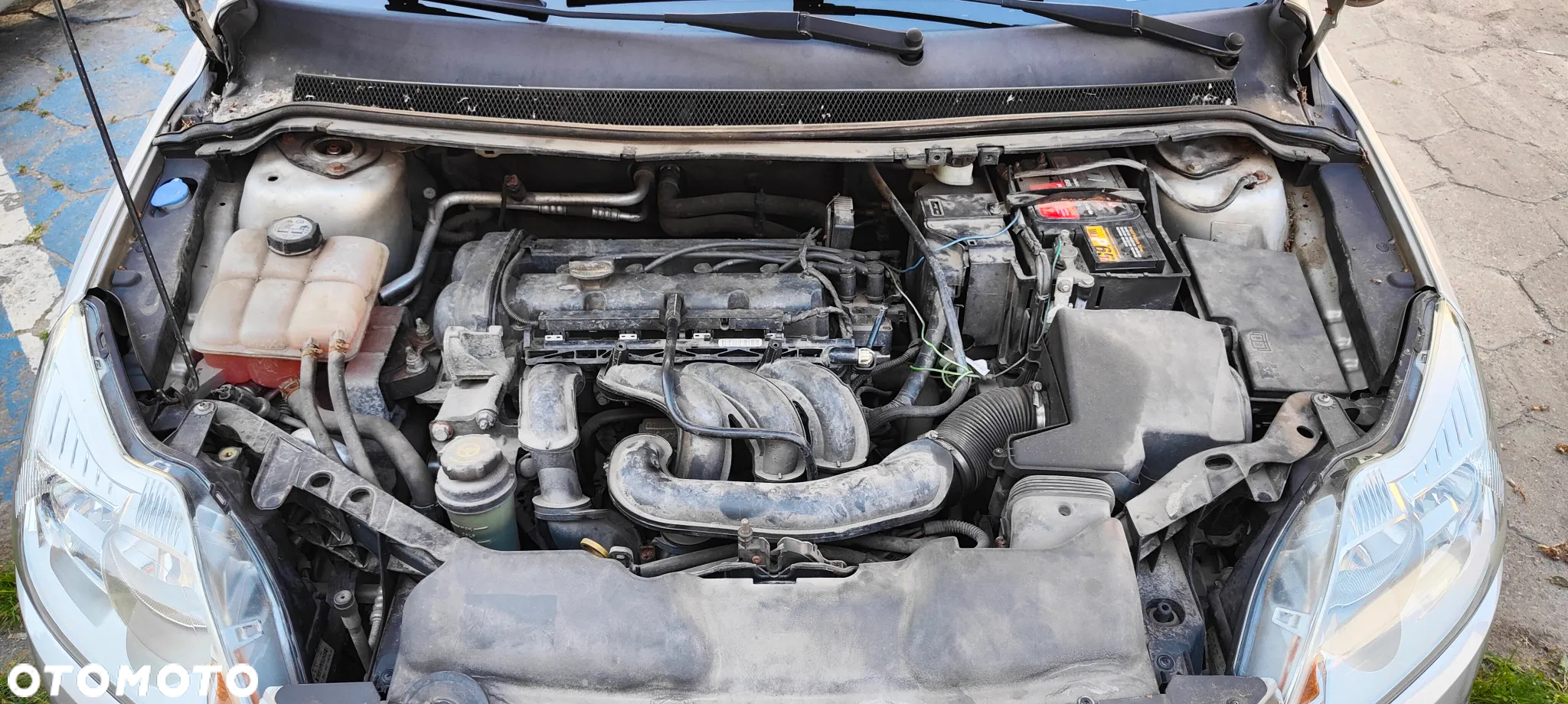 Ford Focus - 11
