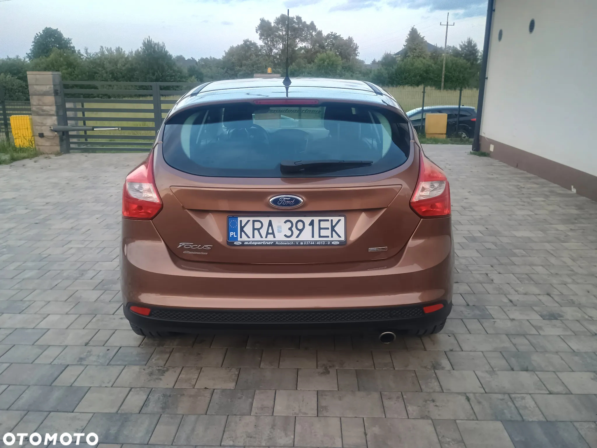 Ford Focus 1.6 EcoBoost Gold X (Trend) - 8