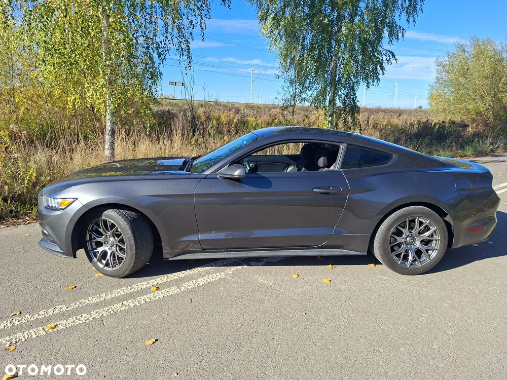 Ford Mustang - 12