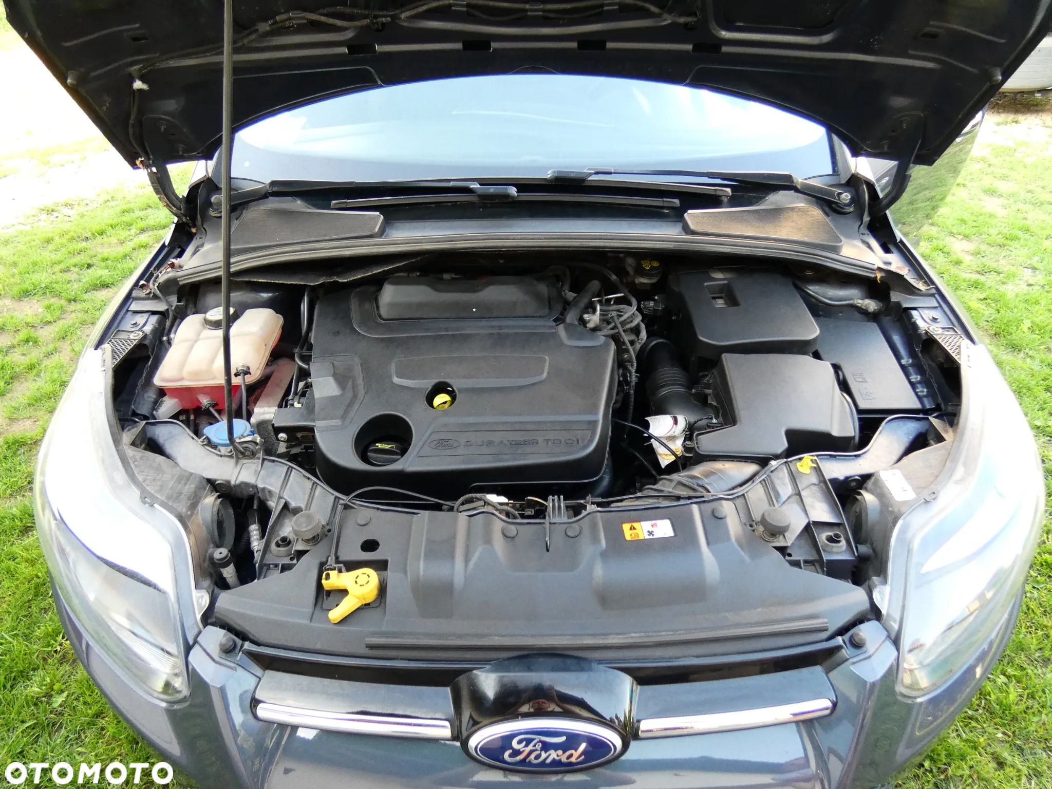 Ford Focus 2.0 TDCi Titanium MPS6 - 21