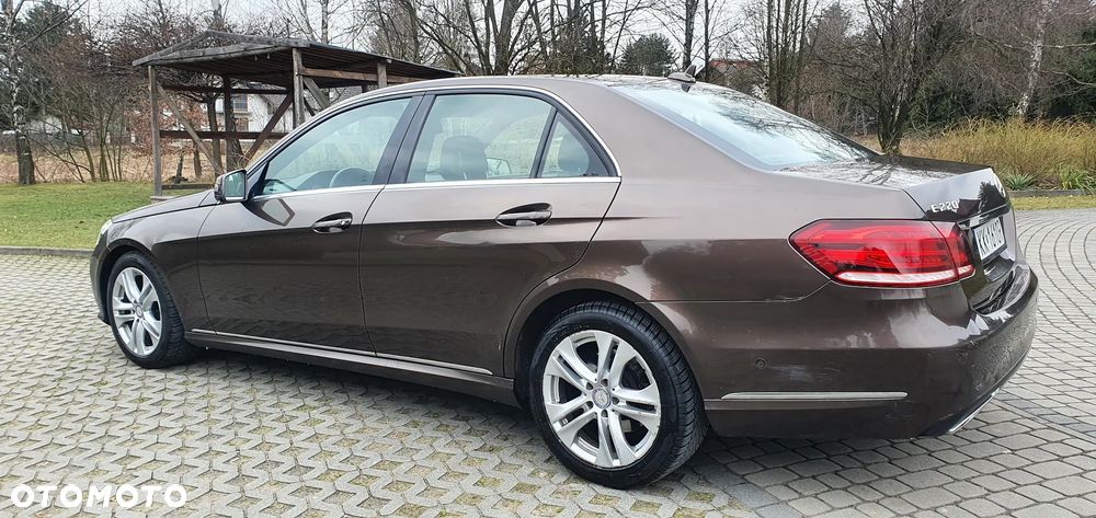 Mercedes-Benz Klasa E 220 CDI BlueEff Avantgarde - 16