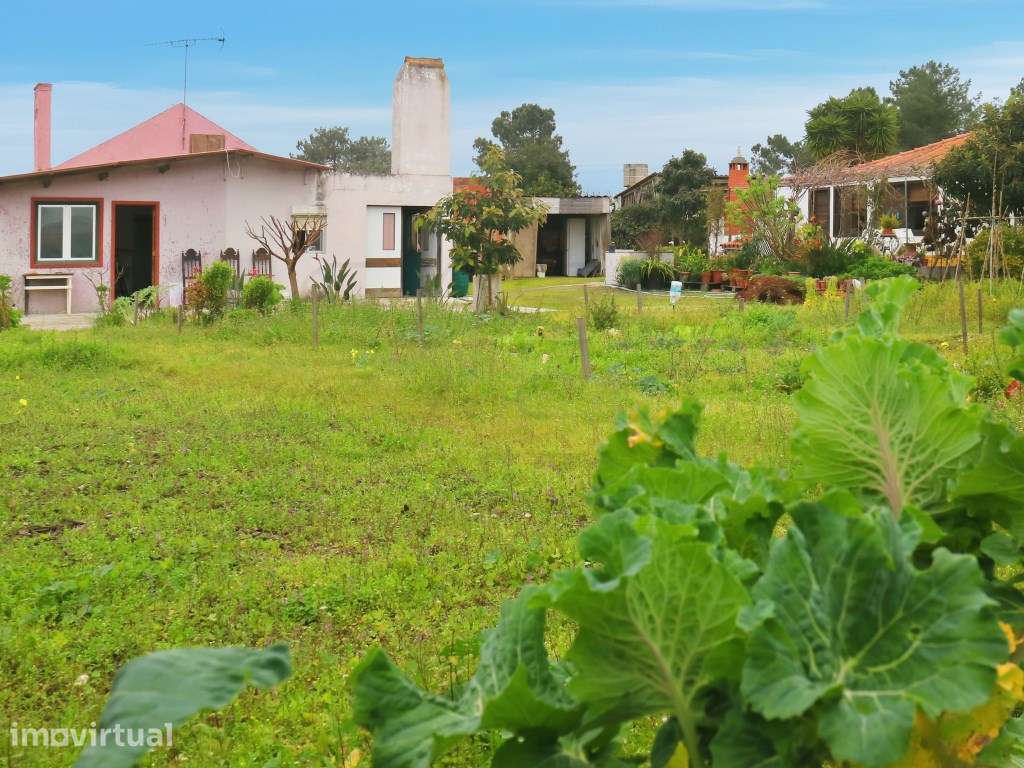 Moradia Terrea para recuperar em zona Rural - Grande imagem: 3/27