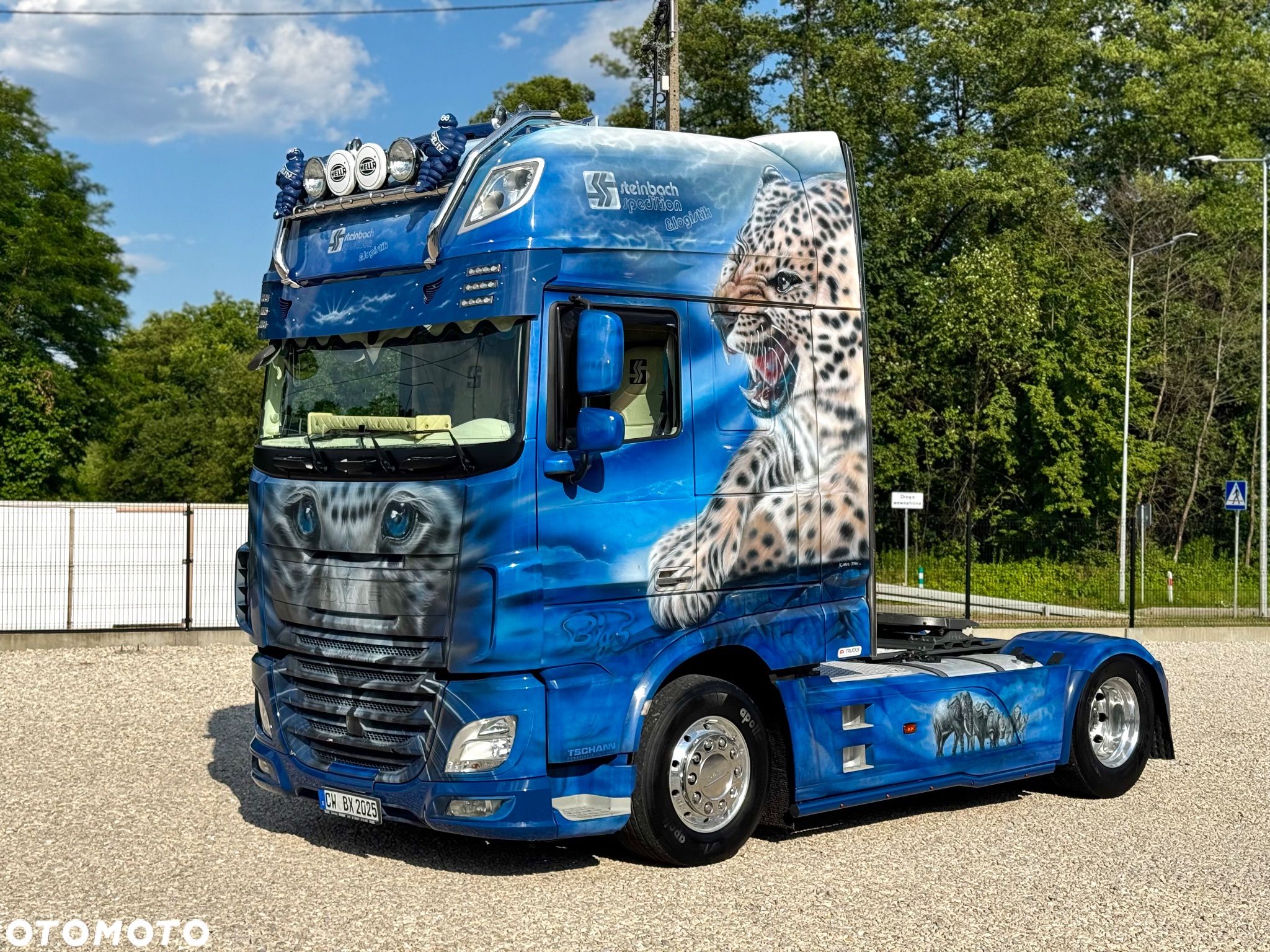 DAF 106XF460/ADR/Z NIEMIEC/FULL - 1