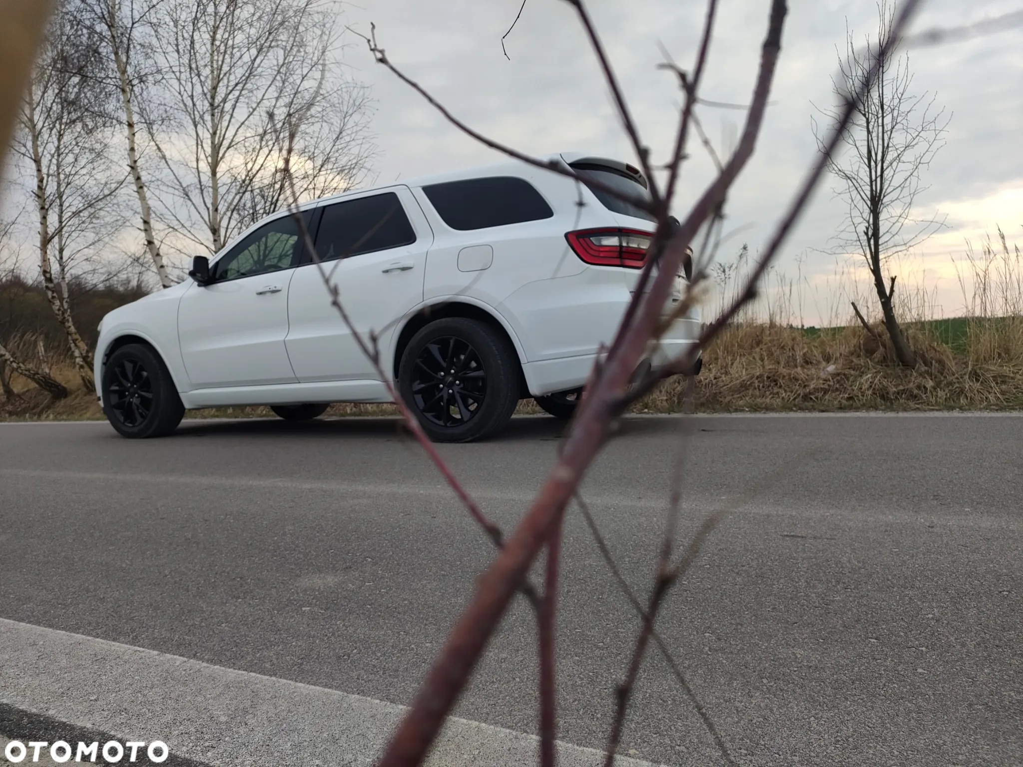 Dodge Durango 3,6 Limited - 20