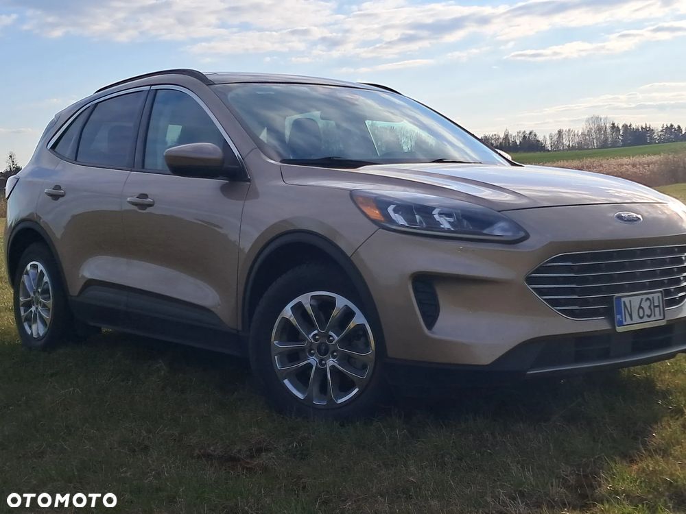 Ford Escape - 14