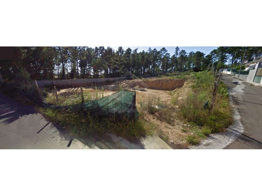 Terreno para construção com 3.175m2 em São João de Ver. - Grande imagem: 3/3