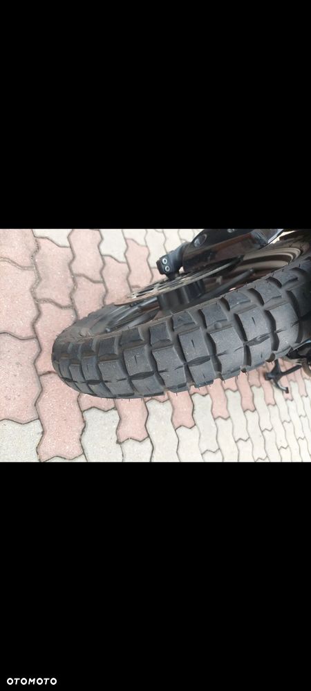 Triumph Tiger - 13