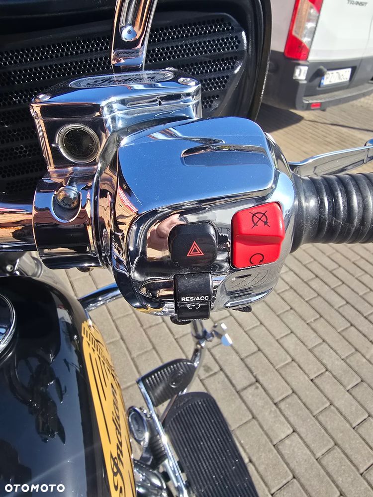 Indian Chieftain - 8