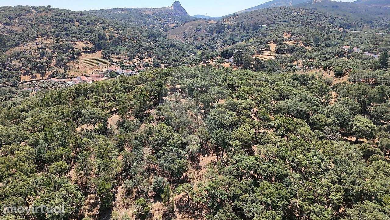 Terreno  para venda - Grande imagem: 2/46