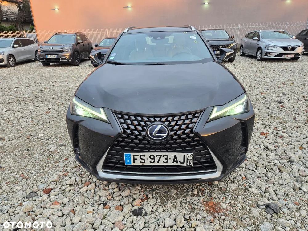 Lexus UX 250h Business Edition - 2
