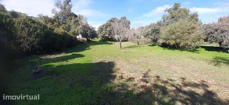 Terreno em São Brás de Alportel
