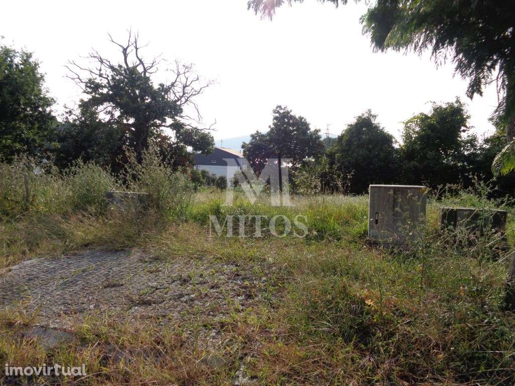 Lote p/ construção - Seixas - Grande imagem: 4/5