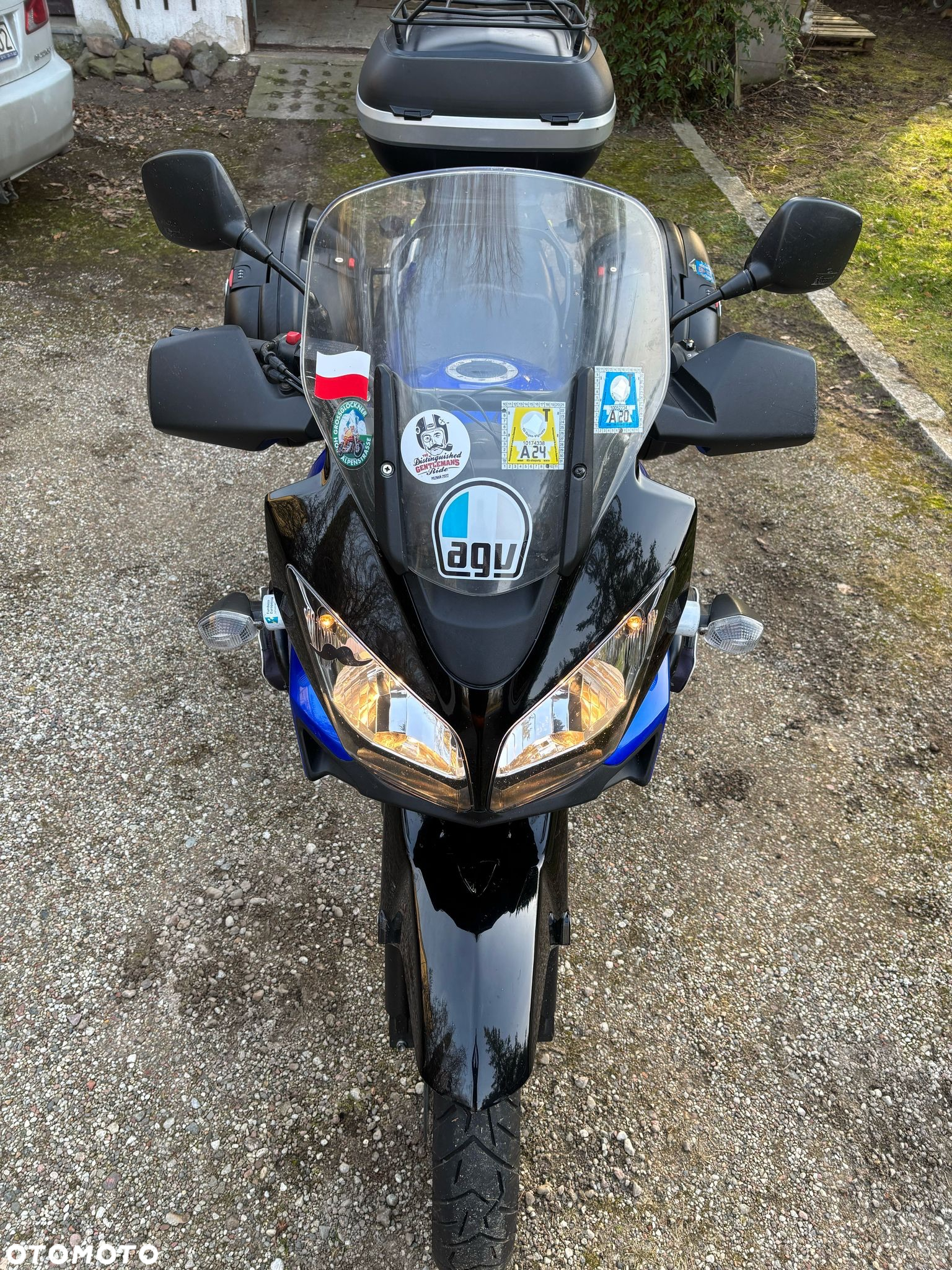 Suzuki DL - 3