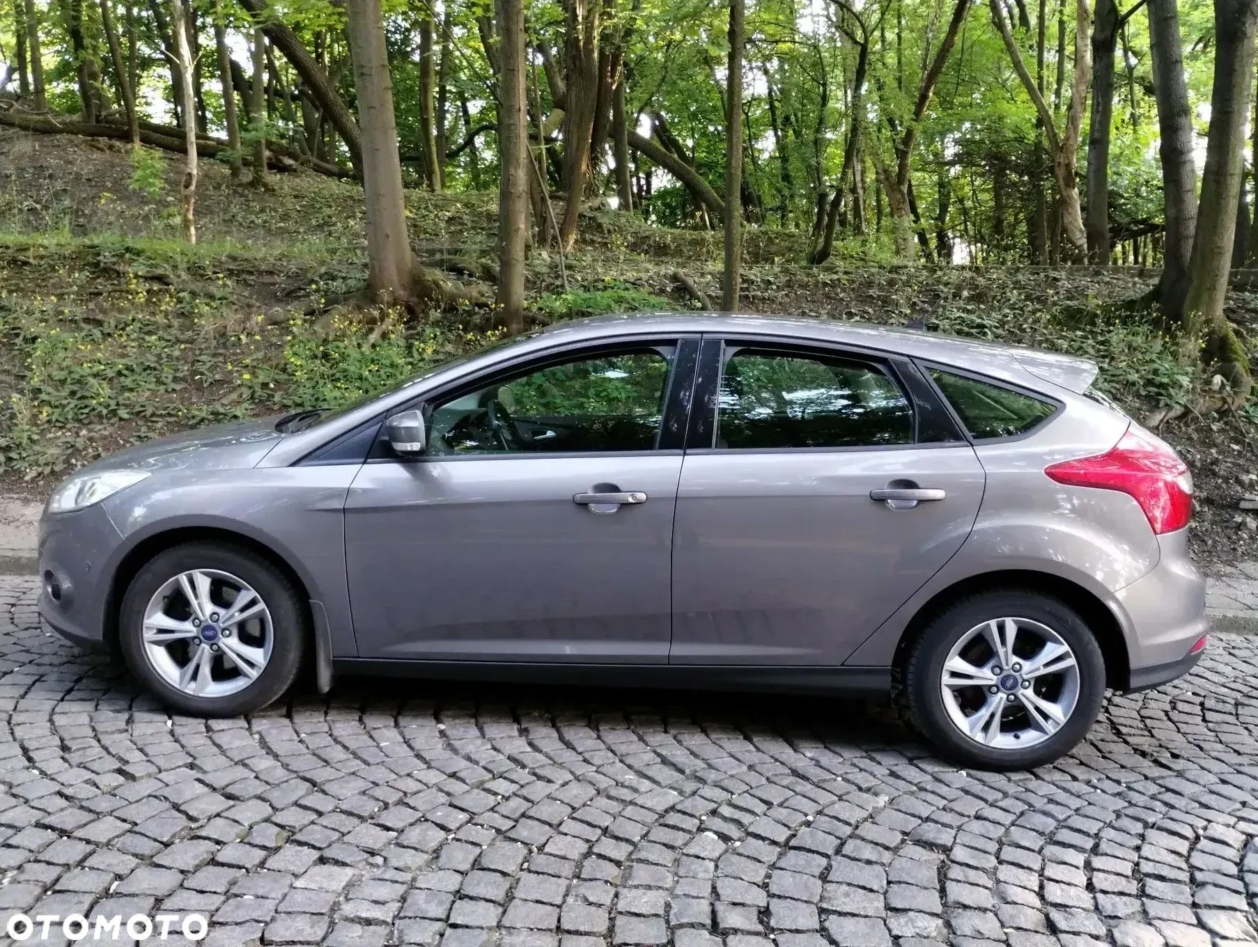 Ford Focus 1.6 EcoBoost Trend Sport - 1