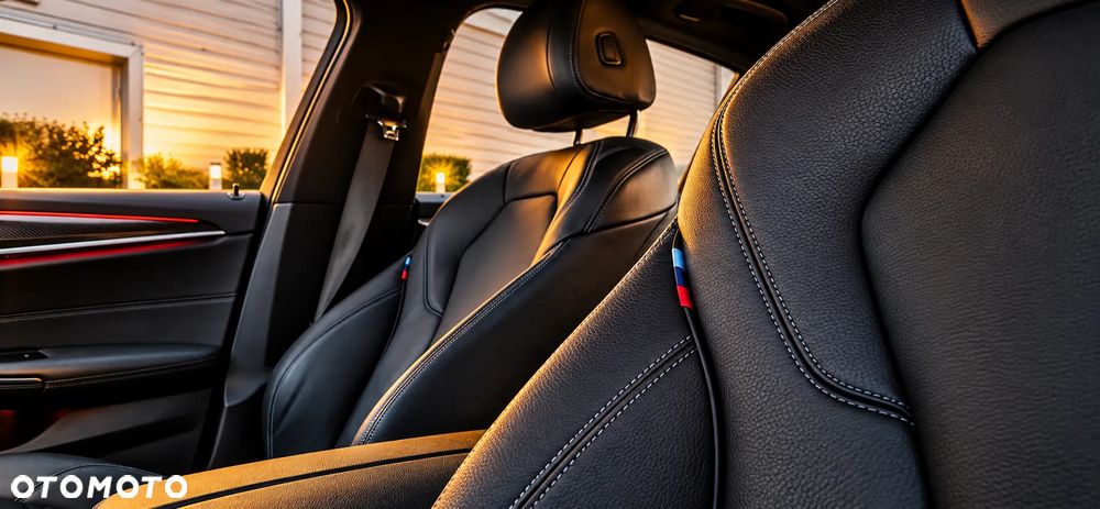 BMW Seria 5 520e Luxury Line sport - 9
