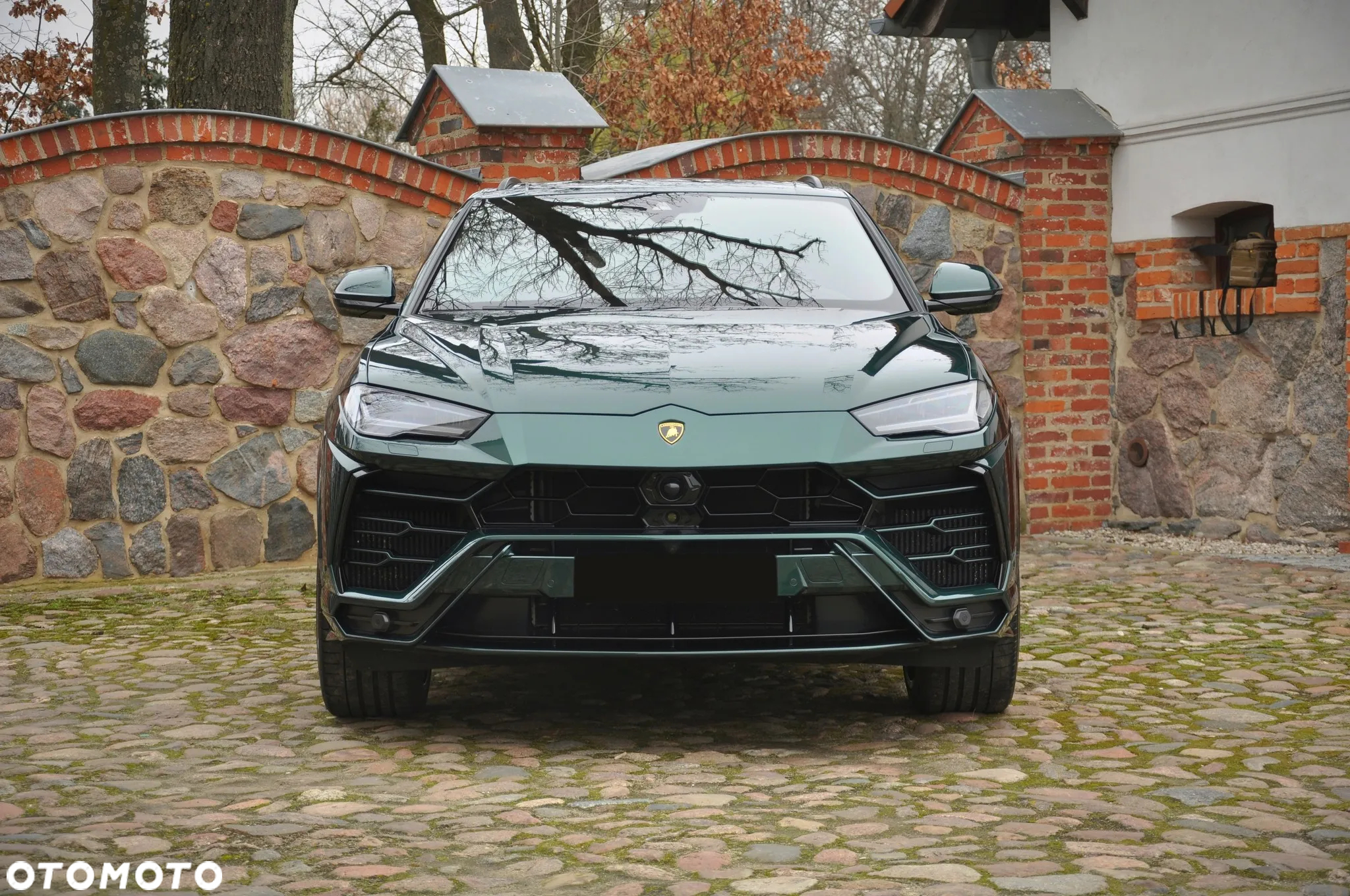 Lamborghini Urus Standard