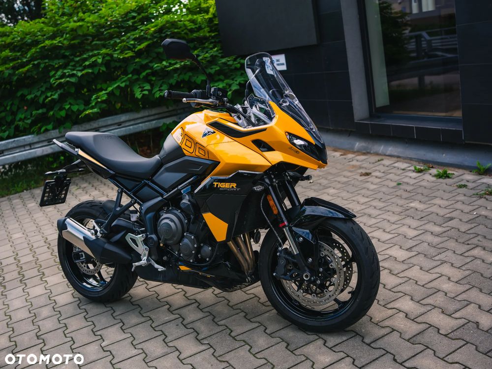 Triumph Tiger - 22