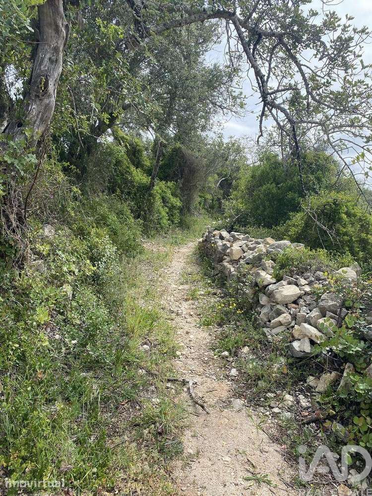 Terreno para construção em Santa Bárbara de Nexe - Grande imagem: 3/10