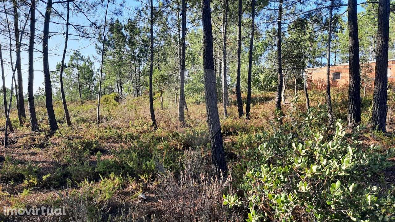 Terreno  para venda - Grande imagem: 4/9