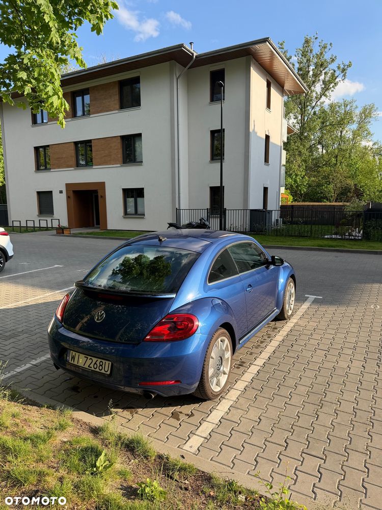 Volkswagen Beetle - 5