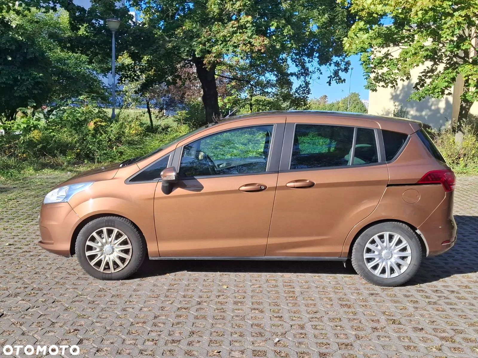 Ford B-MAX 1.0 EcoBoost Trend - 6