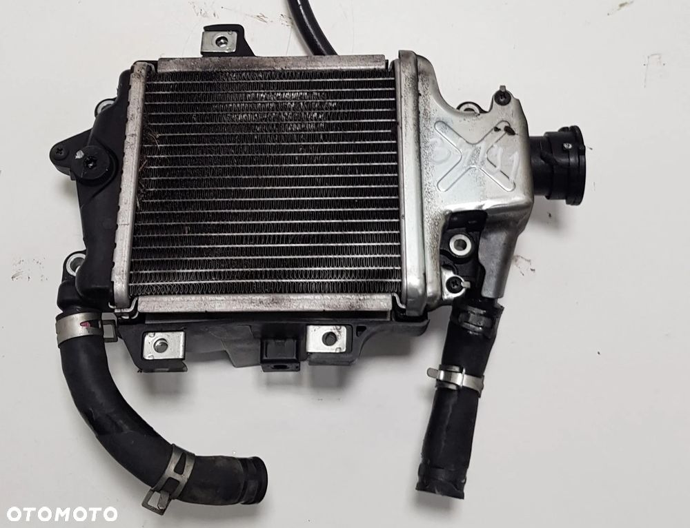 Honda Forza 125 14-17 - Chłodnica - 1