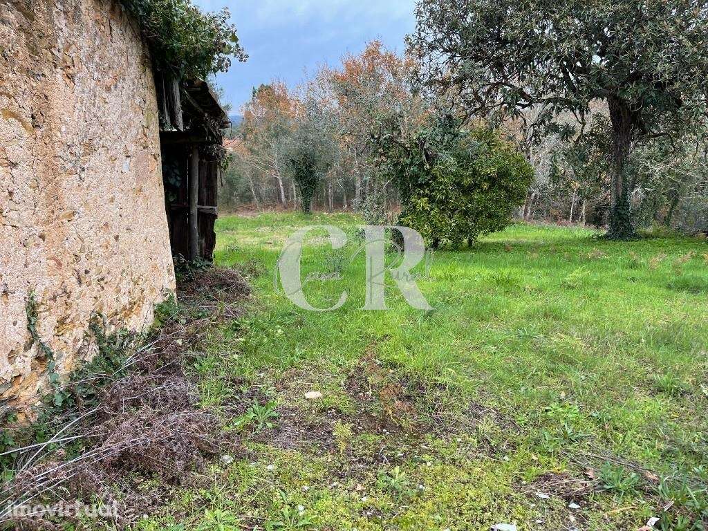 Terreno com ruínas - Grande imagem: 3/10